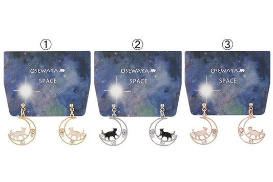 Space - Moon and Cat Earrings